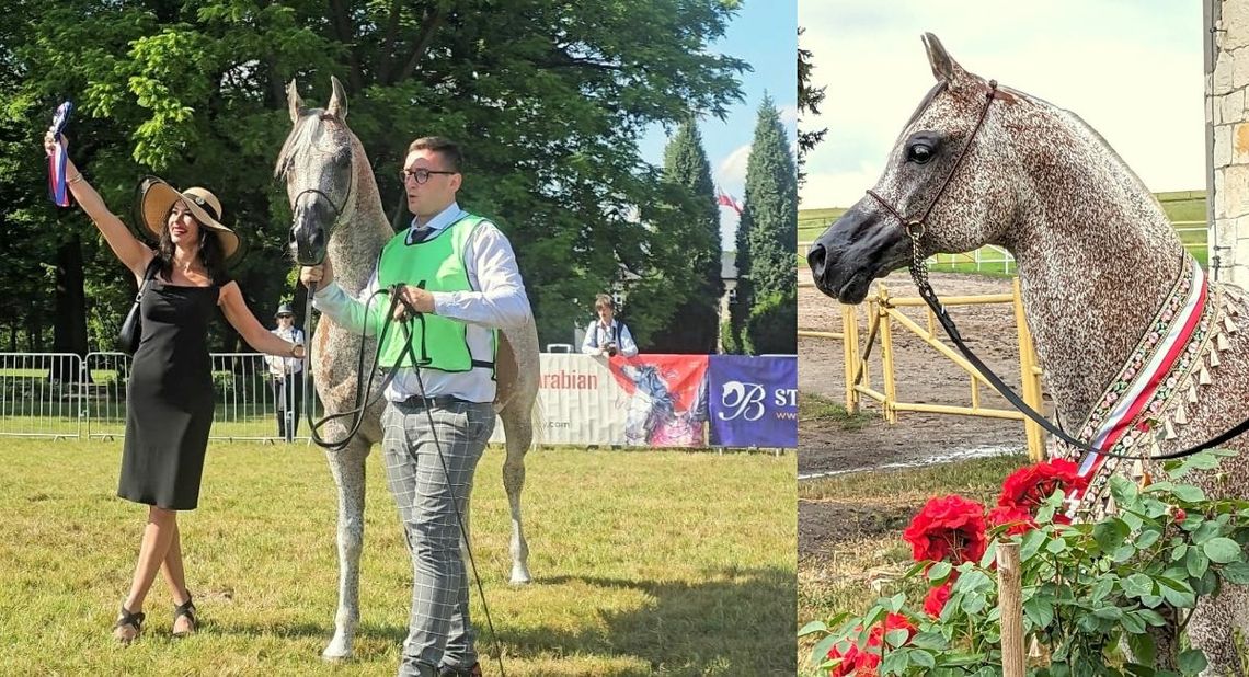 Ogier z Zakrzowa zajął drugie miejsce na II Pure Polish Classic Show w Białce