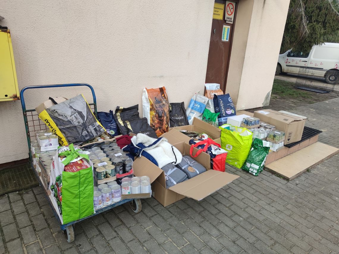 Okazali wielkie serca dla naszych czworonożnych przyjaciół