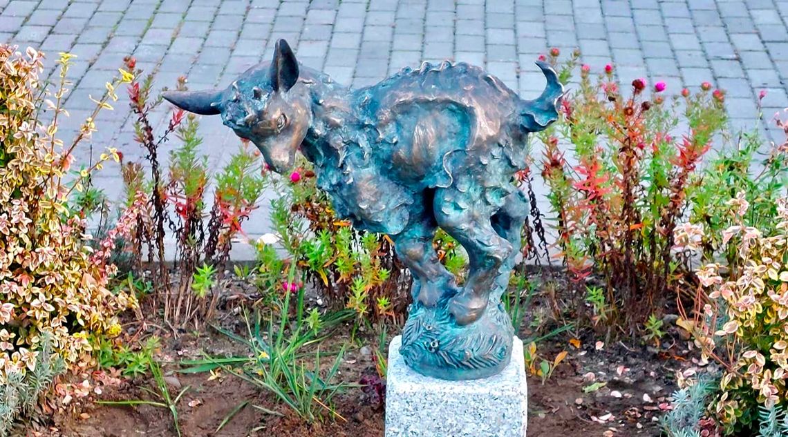 Osiedle Cisowa też ma swojego Koziołka. ZDJĘCIA Osiedle Cisowa też ma swojego Koziołka. ZDJĘCIA