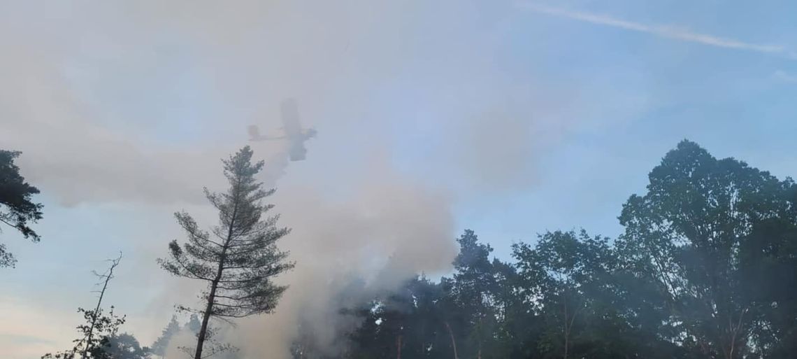 Samolot i osiem zastępów straży pożarnej gasiło pożar w Kotlarni