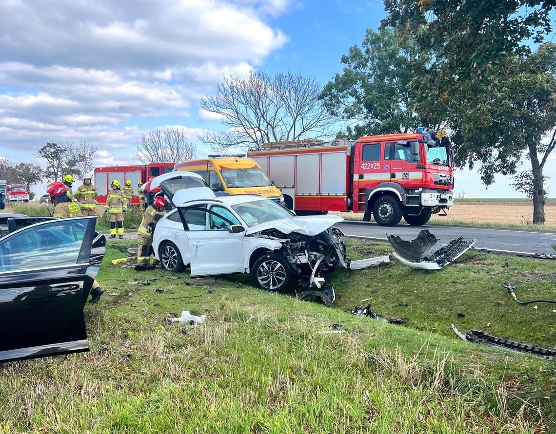 Osoba dorosła i dwuletnie dziecko trafiły do szpitala po zderzeniu dwóch samochodów na DK 38