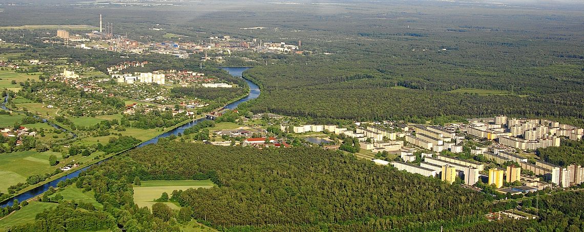 Petycja w sprawie natychmiastowego zaprzestania wyrębu lasu