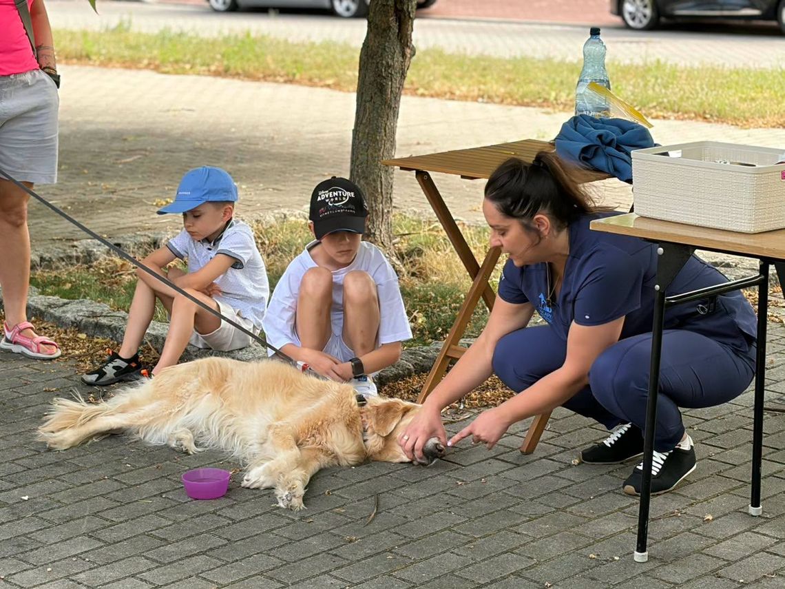 Pierwsza pomoc na cztery łapy. ZDJĘCIA