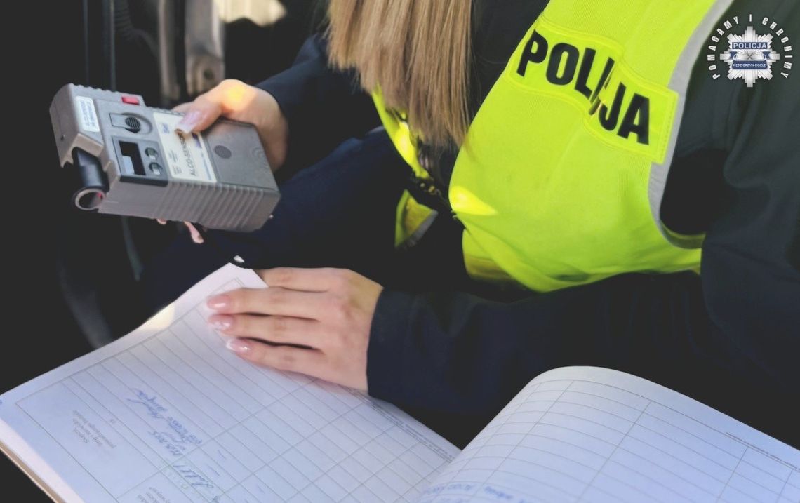 Pijany za kółkiem. Zamiast do domu trafił w krzaki - i w ręce mundurowych