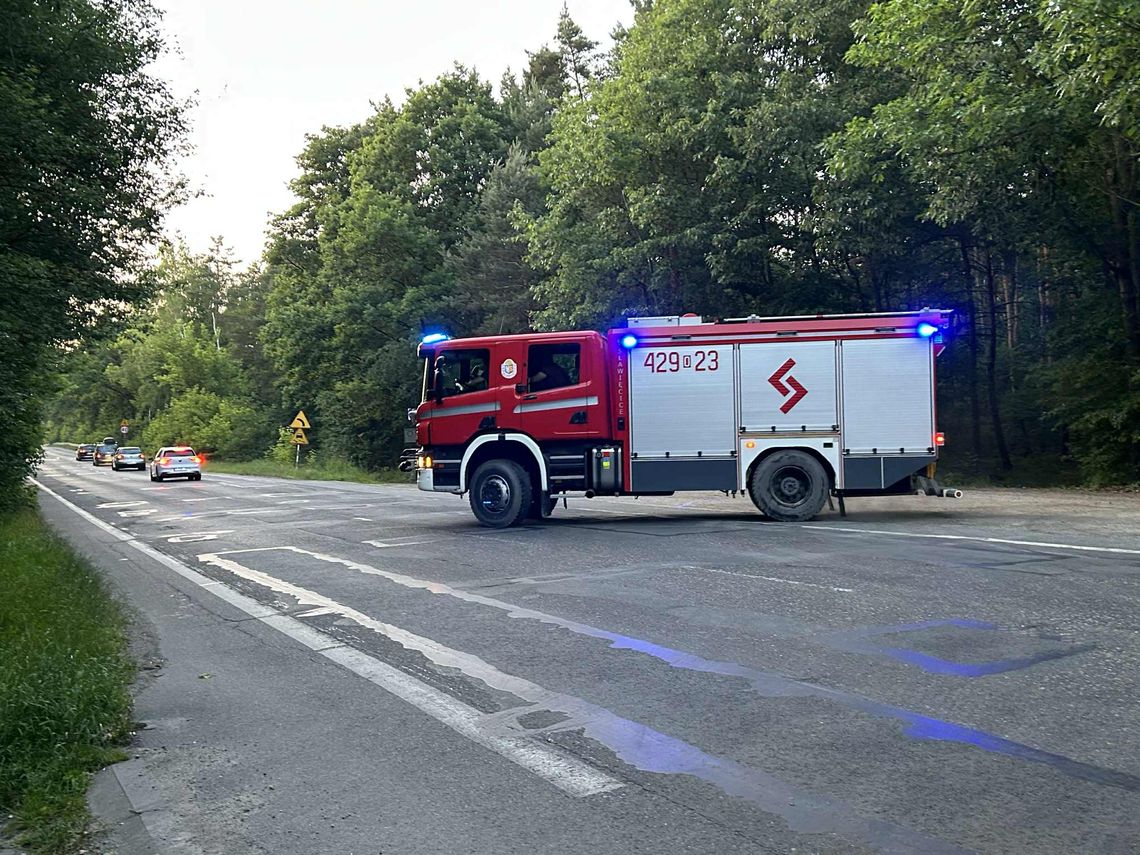 Podpalacz ciągle w natarciu. Las w Azotach znowu płonie!