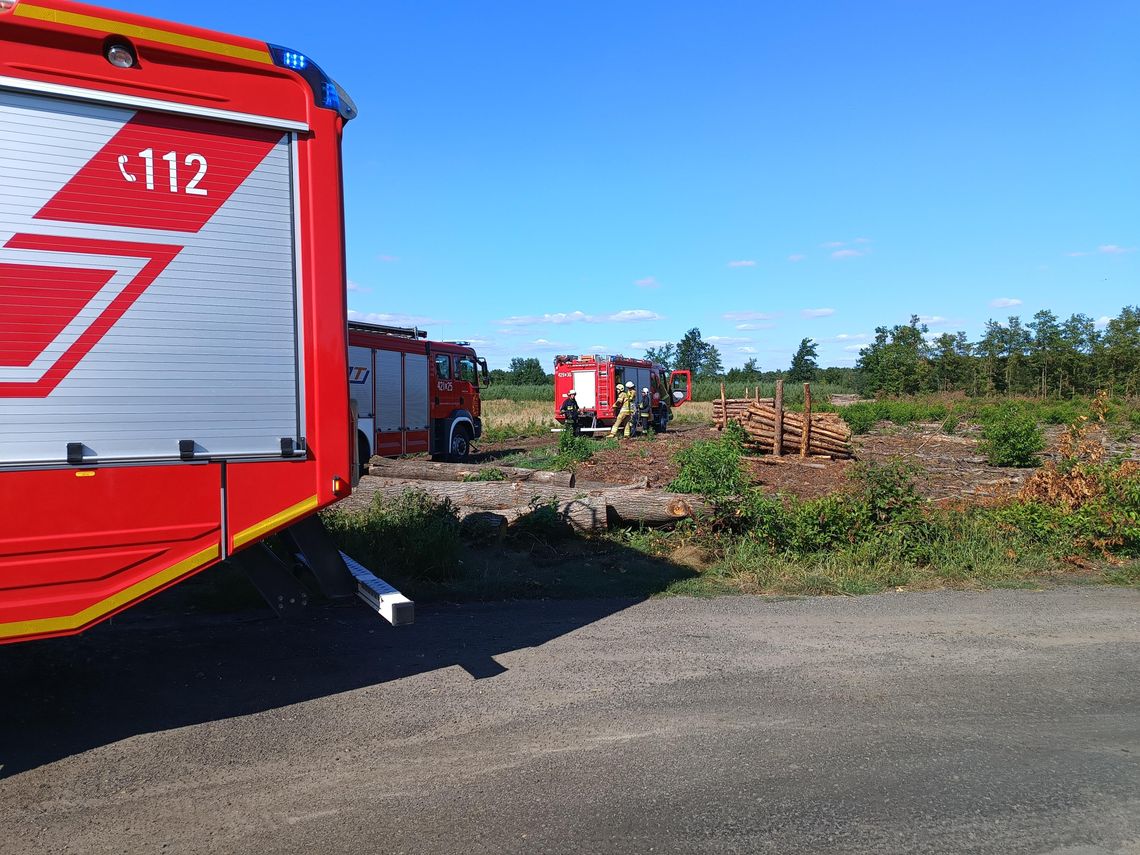Pożar lasu w Kędzierzynie-Koźlu. Zatrzymano podejrzanego o podpalenie Pożar lasu w Kędzierzynie-Koźlu. Zatrzymano podejrzanego o podpalenie