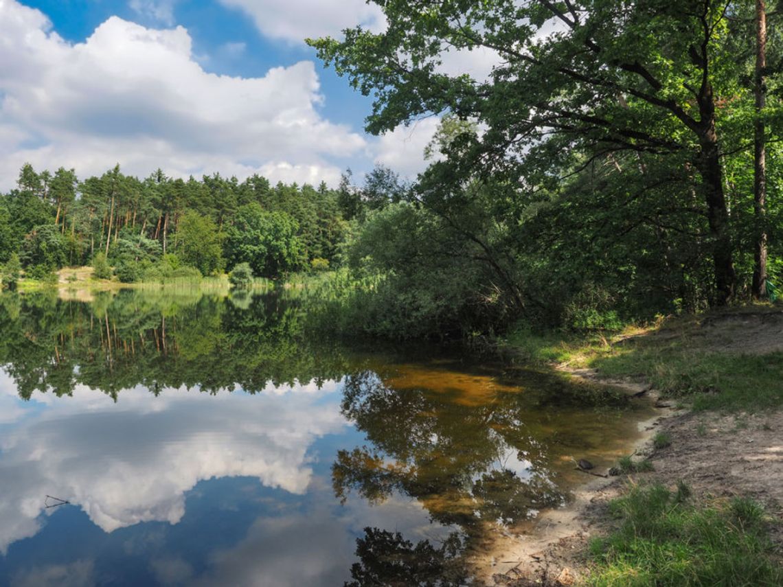 Płetwonurkowie przeszukują Leśne Jeziorko. Na brzegu znaleziono odzież