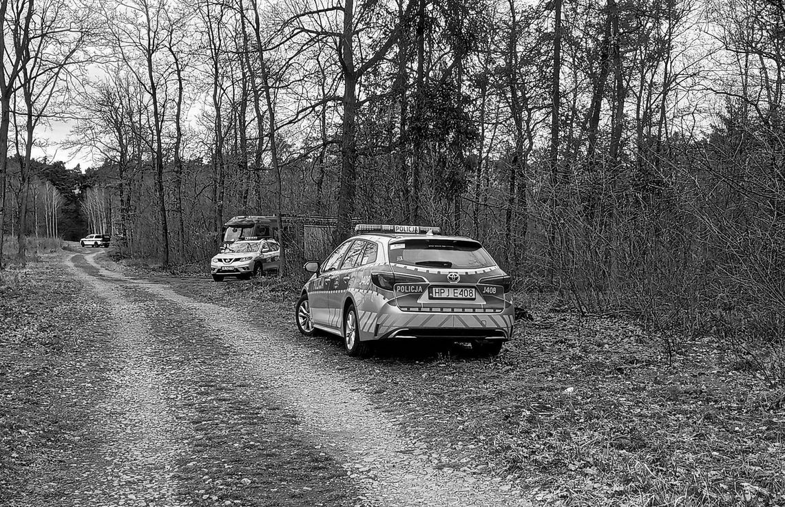 Płetwonurkowie wyłowili ciało mężczyzny z Leśnego Jeziorka na osiedlu Kuźniczka