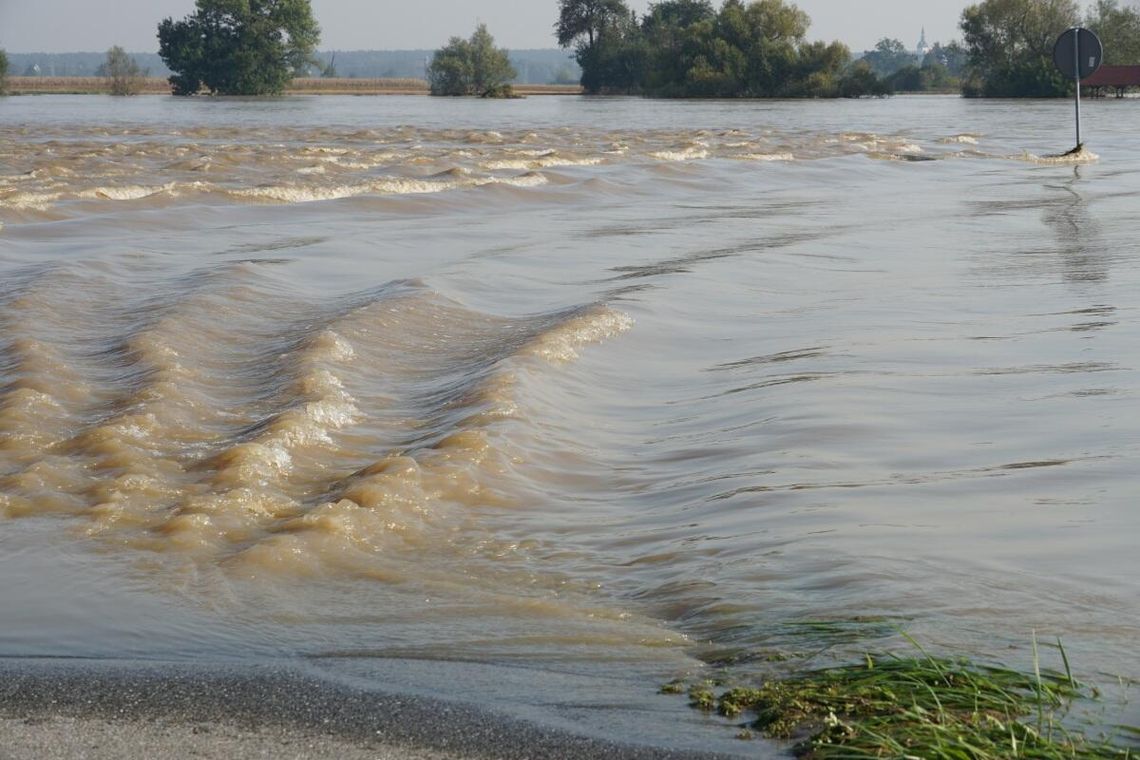 Po przejściu wielkiej wody. Raport z gmin Bierawa, Cisek i Reńska Wieś