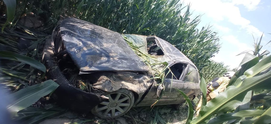 Po zderzeniu pojazdów jeden z samochodów wjechał w pole kukurydzy