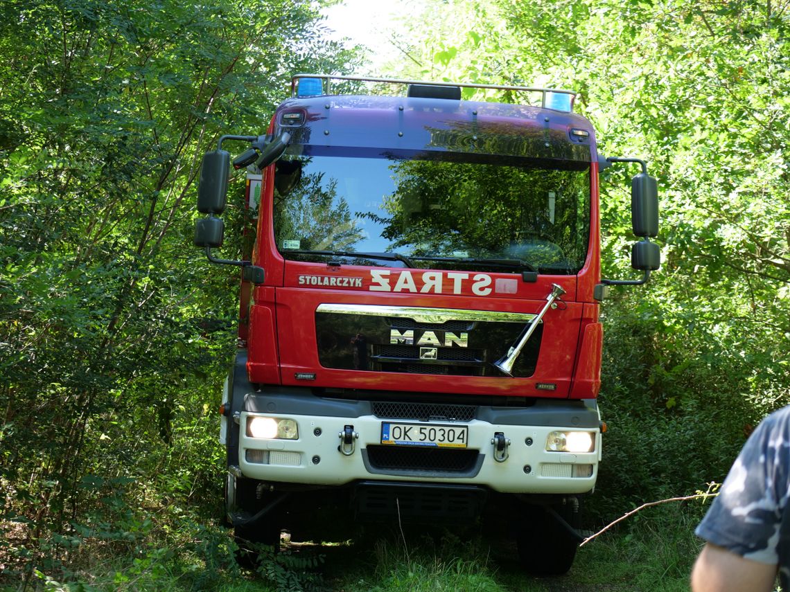 Podpalacz wrócił? Pożar trzcin w miejscowości Dzielawy Podpalacz wrócił? Pożar trzcin w miejscowości Dzielawy