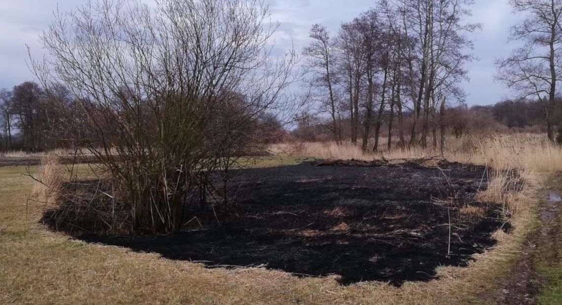 Podpalacz z gminy Polska Cerekiew znowu się uaktywnił Podpalacz z gminy Polska Cerekiew znowu się uaktywnił