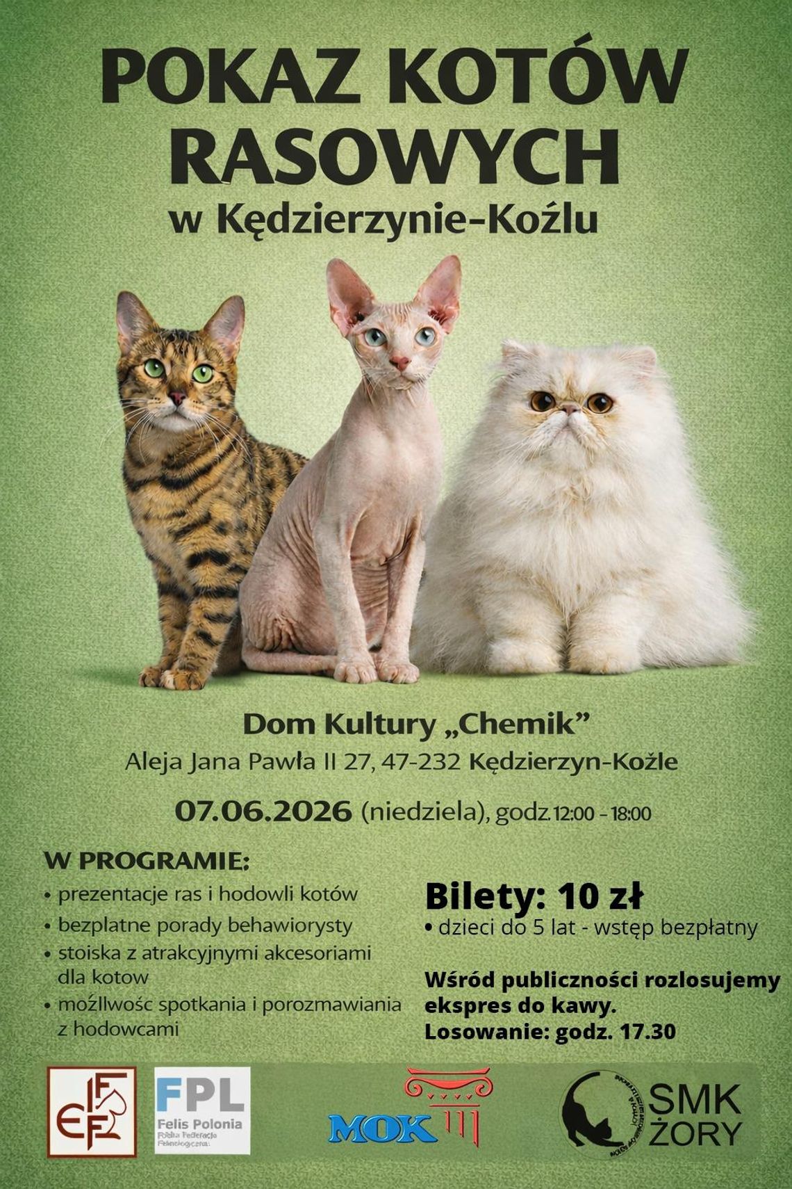 Pokaz kotów rasowych w Domu Kultury „Chemik” Pokaz kotów rasowych w Domu Kultury „Chemik”