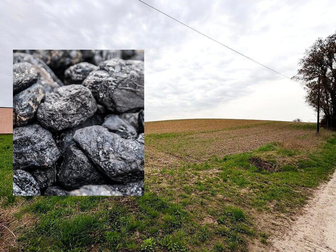 Pokłady węgla kamiennego w Nieznaszynie? Ta wieś leży na czarnym złocie!