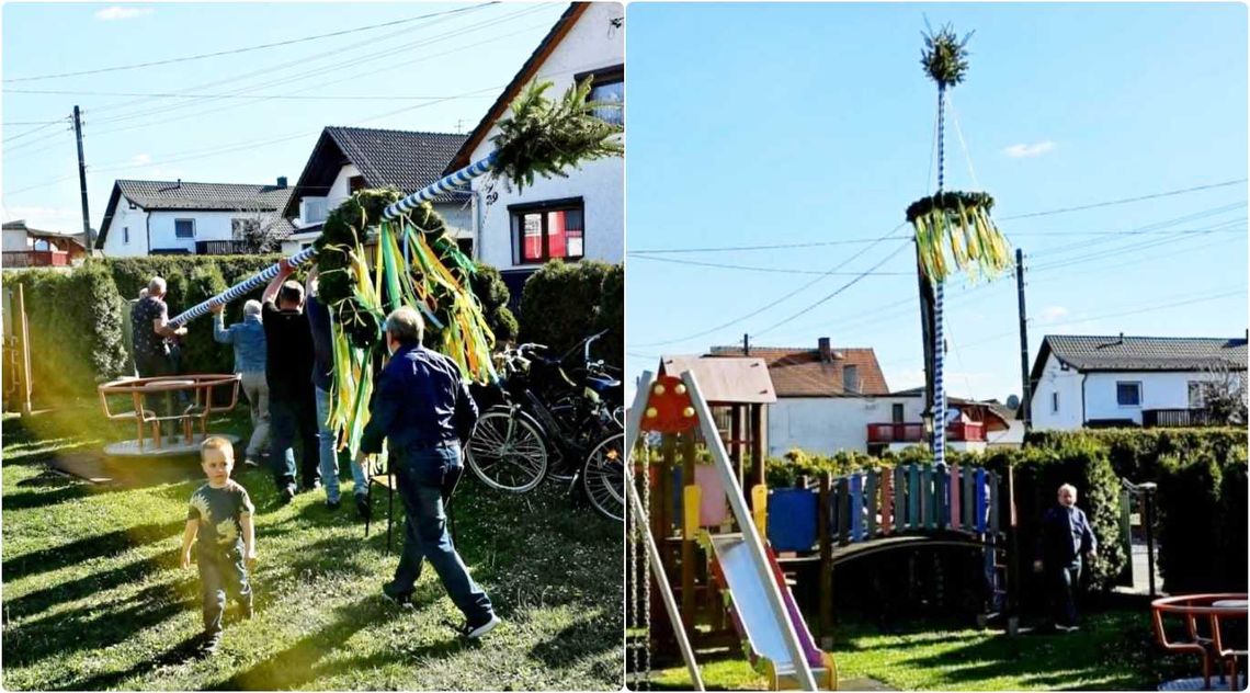 Pokrzywnica podtrzymuje tradycję. Stanął w niej Maibaum