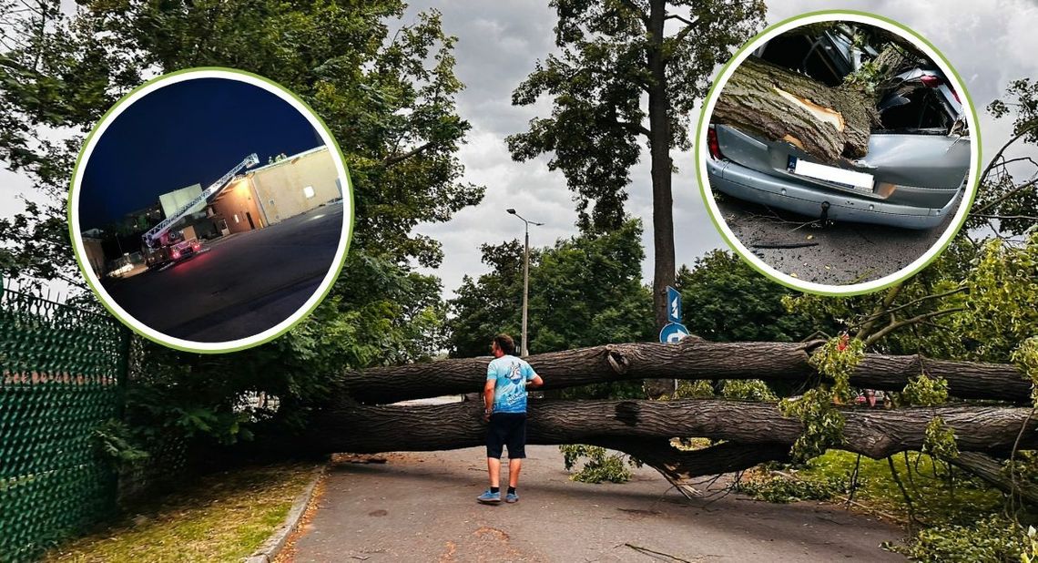 Połamane drzewa, 10 uszkodzonych samochodów, zerwany dach Netto. Wichura wyrządziła sporo szkód