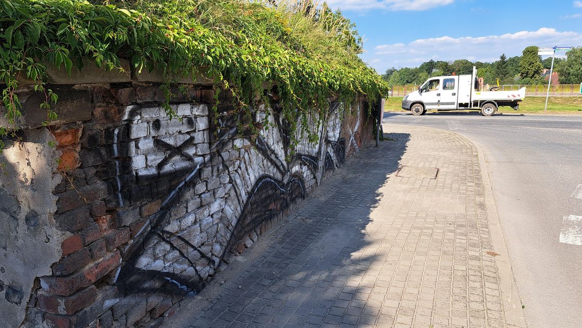 Policja ma nagranie, na którym widać twarz wandala niszczącego zabytek