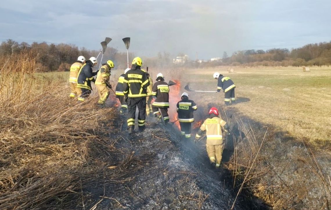 Policja przypomina: wypalanie traw jest nielegalne i niebezpieczne!