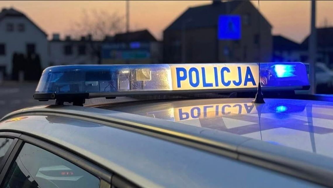 Policja ustaliła właścicielkę psa znalezionego w Kanale Gliwickim Policja ustaliła właścicielkę psa znalezionego w Kanale Gliwickim