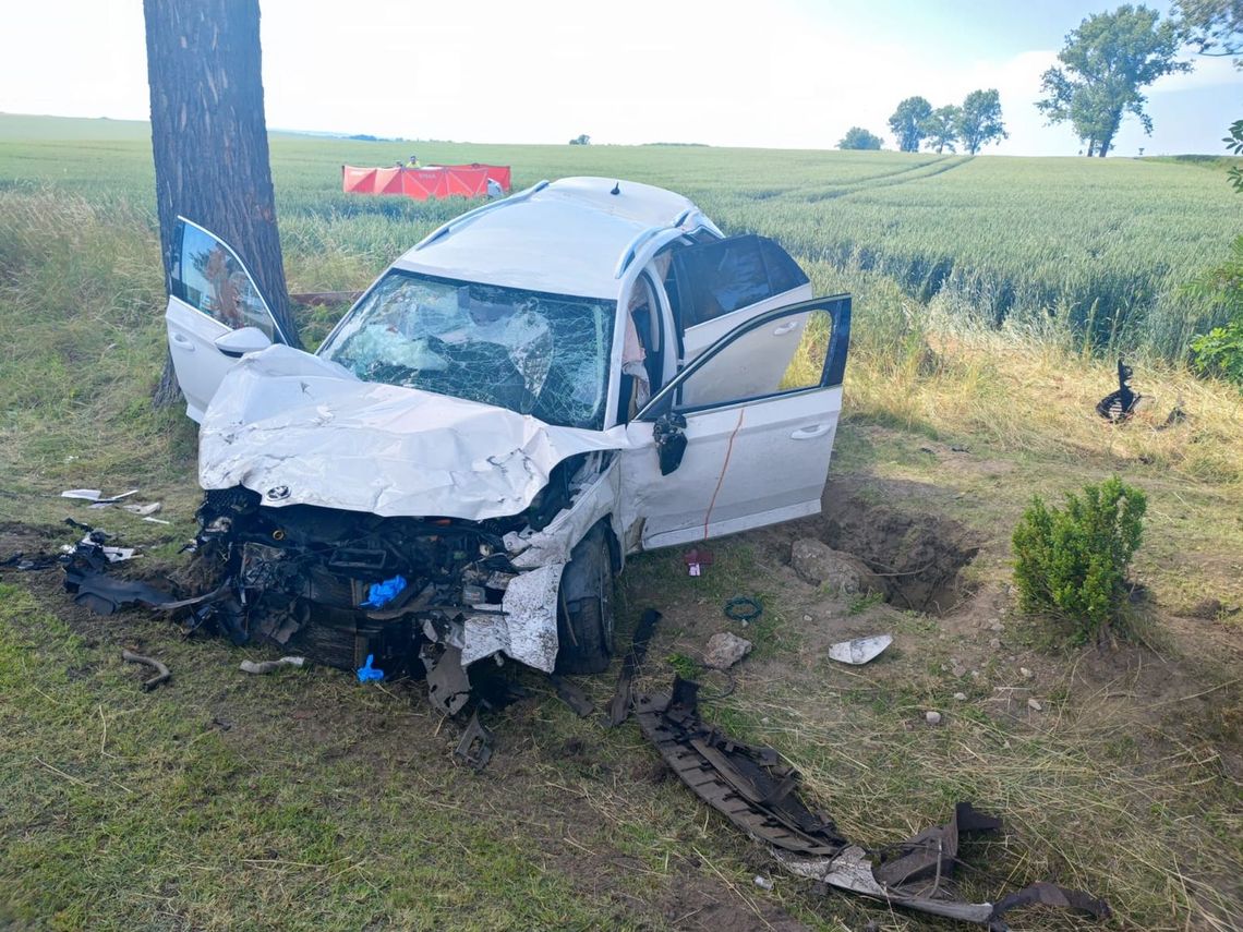 Policyjne działania „Bezpieczna DK38” po tragicznym weekendzie