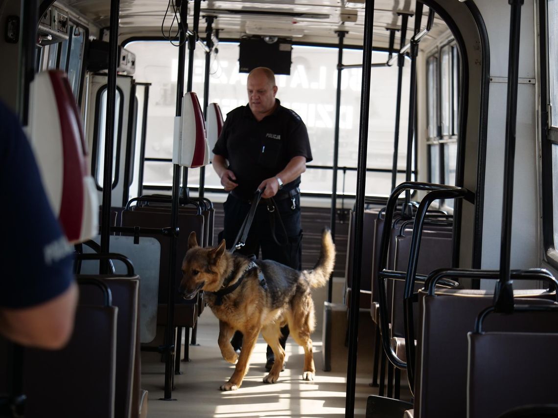 Policyjne psy szukały narkotyków i materiałów wybuchowych w autobusach MZK