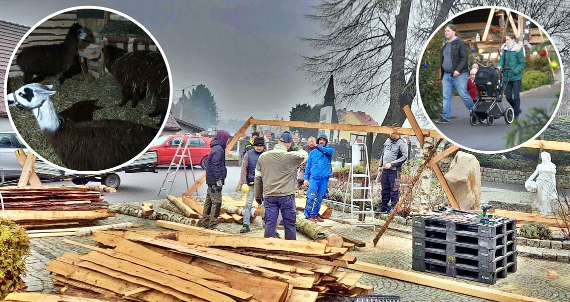 Powstaje żywa szopka bożonarodzeniowa w Dziergowicach. ZDJĘCIA Powstaje żywa szopka bożonarodzeniowa w Dziergowicach. ZDJĘCIA