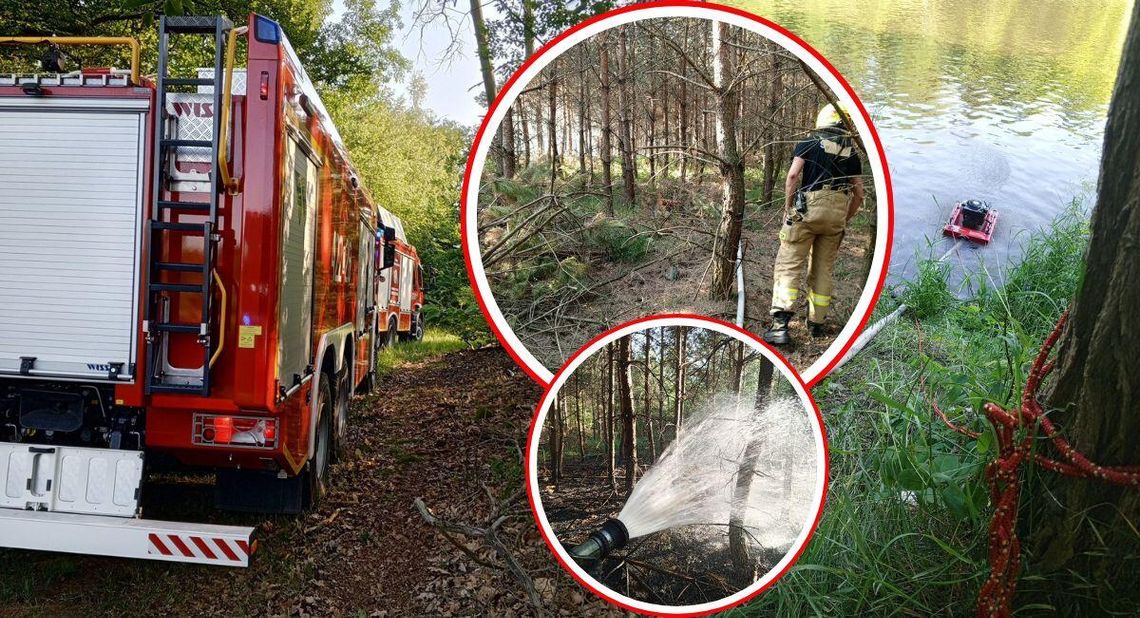 Pożar lasu w Kędzierzynie-Koźlu. Akcja strażaków wspierana z powietrza przez Dromadera. ZDJĘCIA