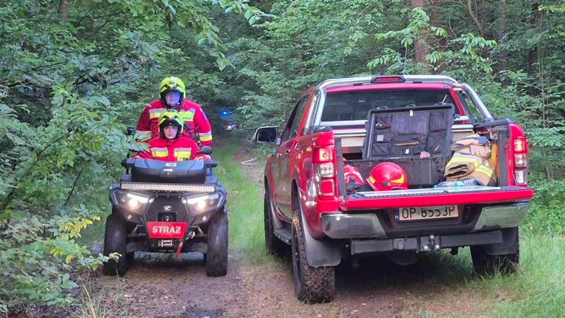 Pożar lasu w Kędzierzynie został opanowany. To prawdopodobnie podpalenie. ZDJĘCIA