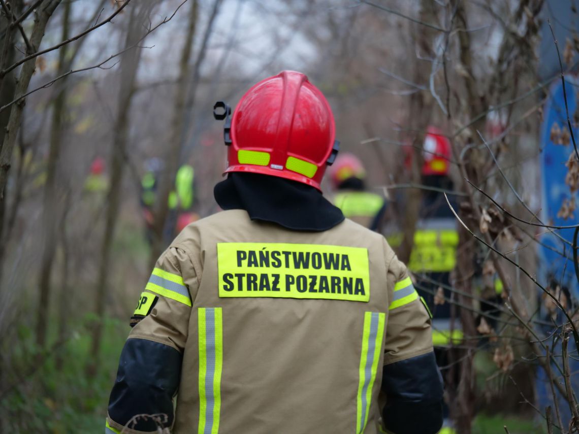 Pożar lasu w Kłodnicy. Na miejscu trwa akcja gaśnicza