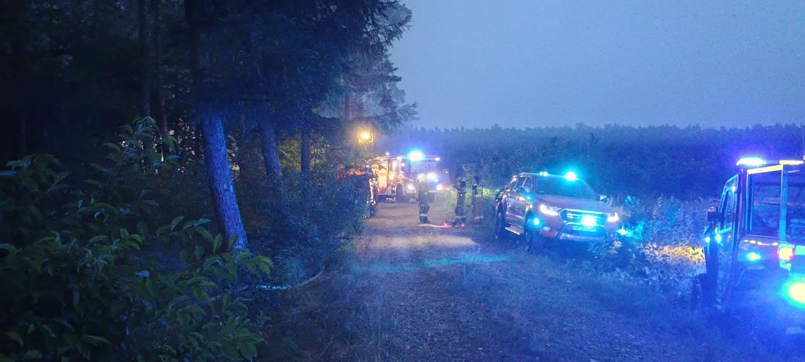 Pożar lasu w Kłodnicy! Sytuacja jest już opanowana. ZDJĘCIA