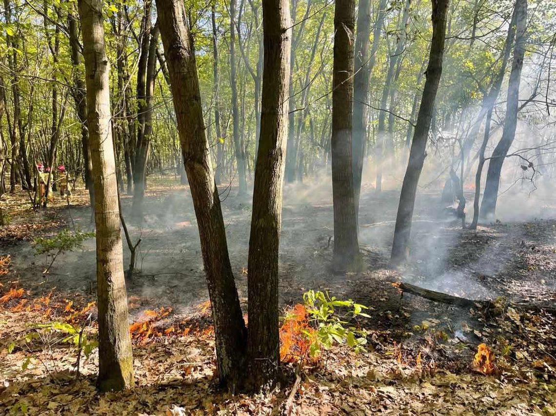 Foto: Komenda Powiatowa Państwowej Straży Pożarnej w Kędzierzynie-Koźlu