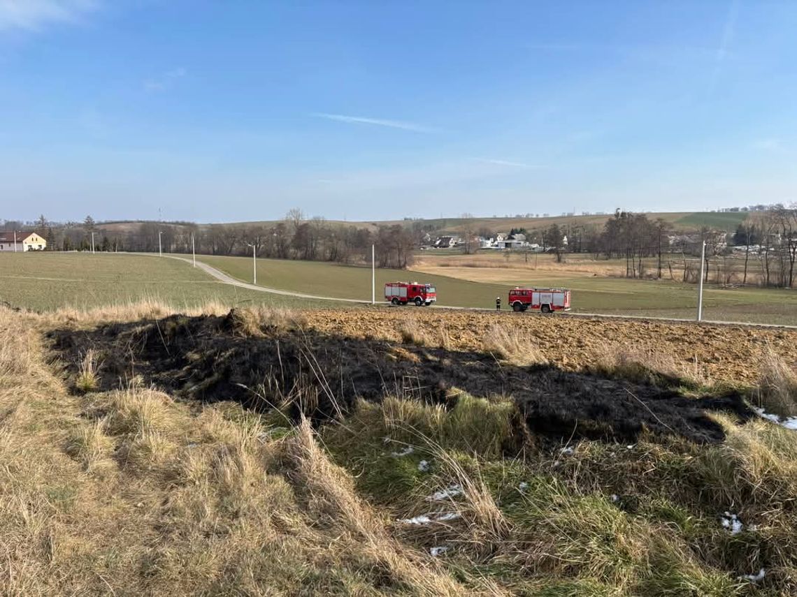 Pożar nieużytków w Dzielawach. Szybka akcja strażaków nie dopuściła do rozprzestrzenienia się ognia