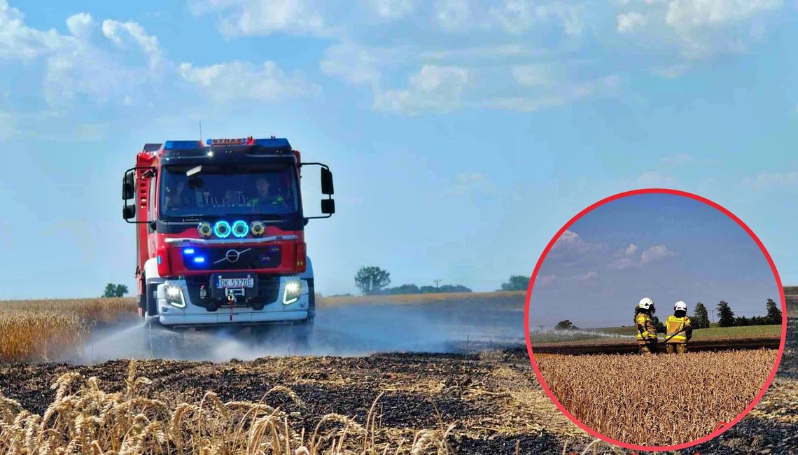 Pożar podczas prac żniwnych w Grudyni Małej. ZDJĘCIA Pożar podczas prac żniwnych w Grudyni Małej. ZDJĘCIA