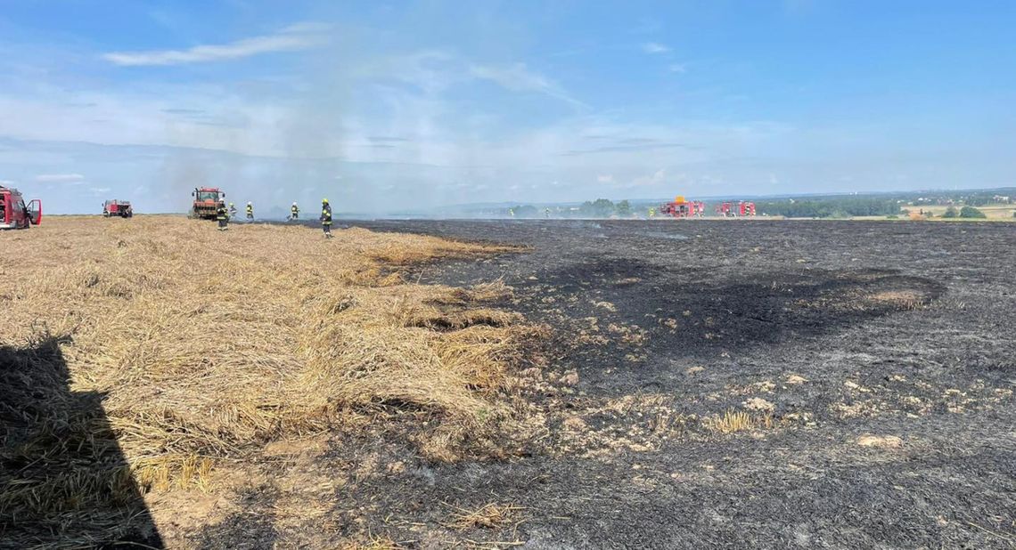 Pożar pola pomiędzy Dzielnicą a Roszowicami. Interweniowali strażacy Pożar pola pomiędzy Dzielnicą a Roszowicami. Interweniowali strażacy