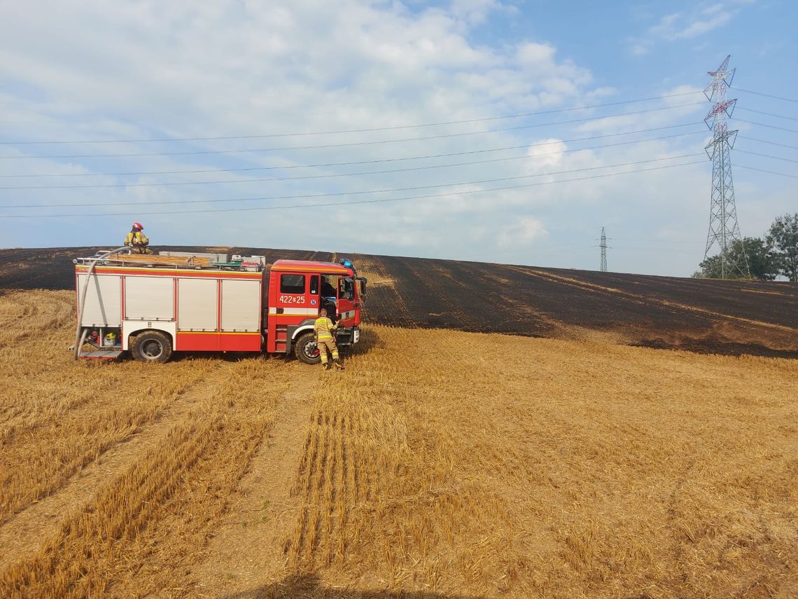 Pożar ścierniska w Ciężkowicach. Na miejscu 6 zastępów straży pożarnej Pożar ścierniska w Ciężkowicach. Na miejscu 6 zastępów straży pożarnej
