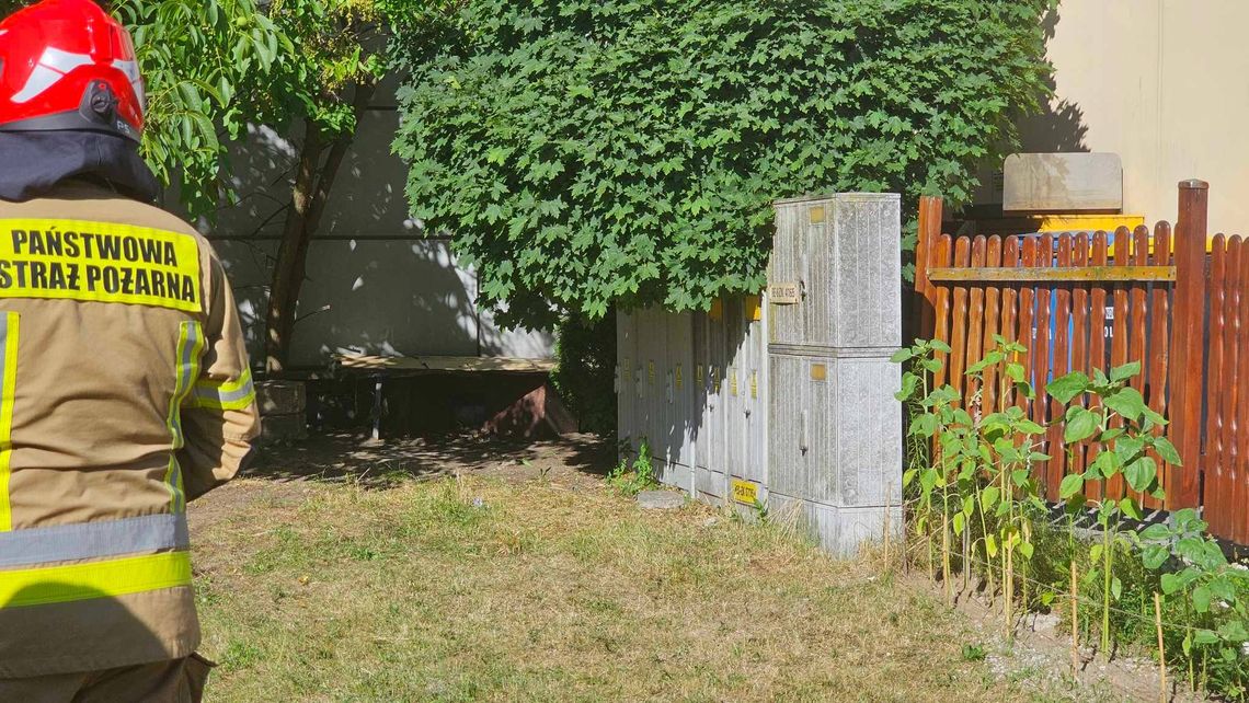 Pożar skrzynki rozdzielczej. Interweniowała straż pożarna