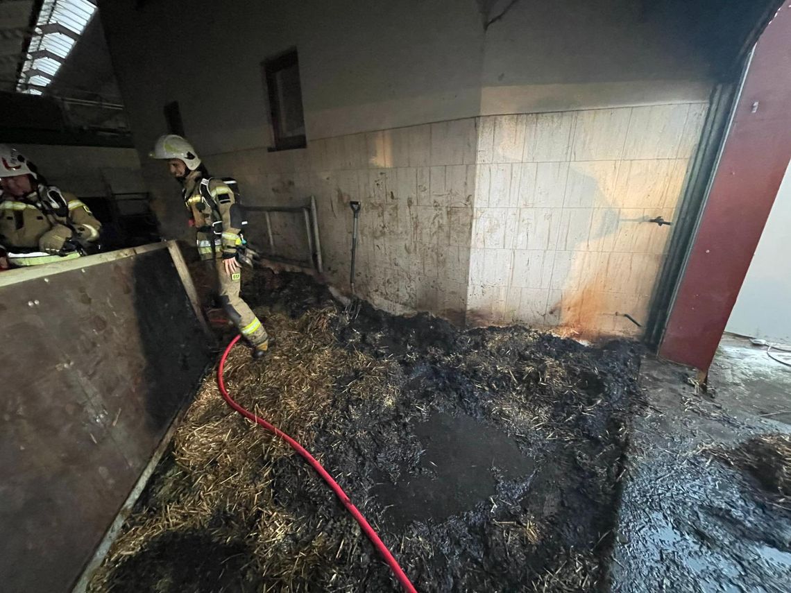 Pożar słomy przy budynku inwentarskim w miejscowości Kózki. ZDJĘCIA