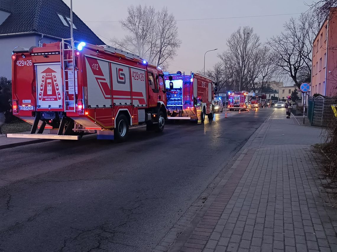 Pożar śmieci za pubem na Pogorzelcu. Na miejscu kilka zastępów straży pożarnej. ZDJĘCIA