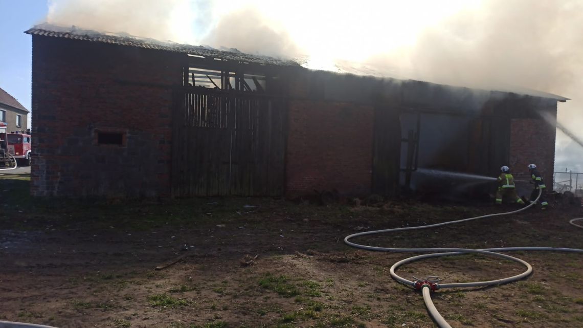 Pożar stodoły w miejscowości Dębowa. W budynku znajdowały się zwierzęta. ZDJĘCIA