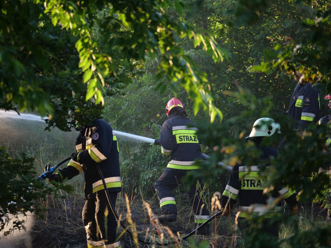 Pożar trawy na osiedlu Blachownia