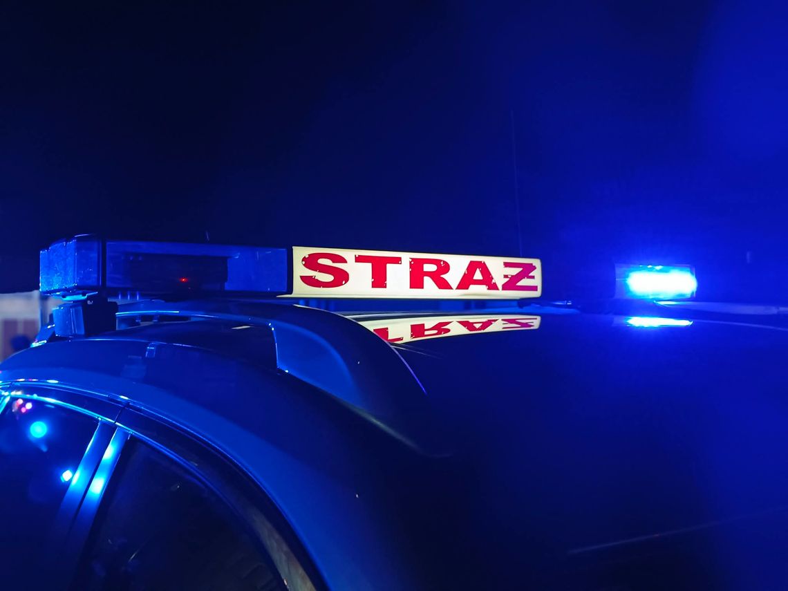 Pożar trawy przy Kanale Gliwickim. Na miejscu straż pożarna i policja Pożar trawy przy Kanale Gliwickim. Na miejscu straż pożarna i policja