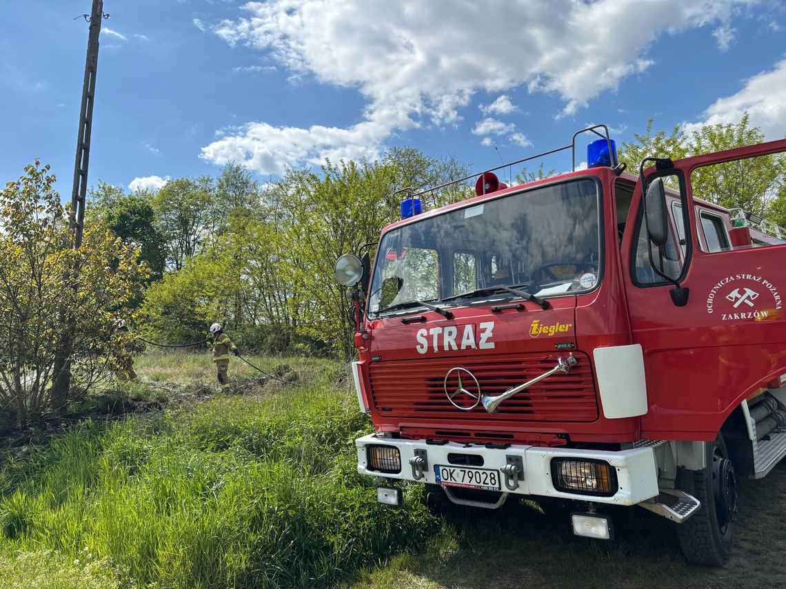 Ochotnicy ugasili płonącą trawę w Zakrzowie