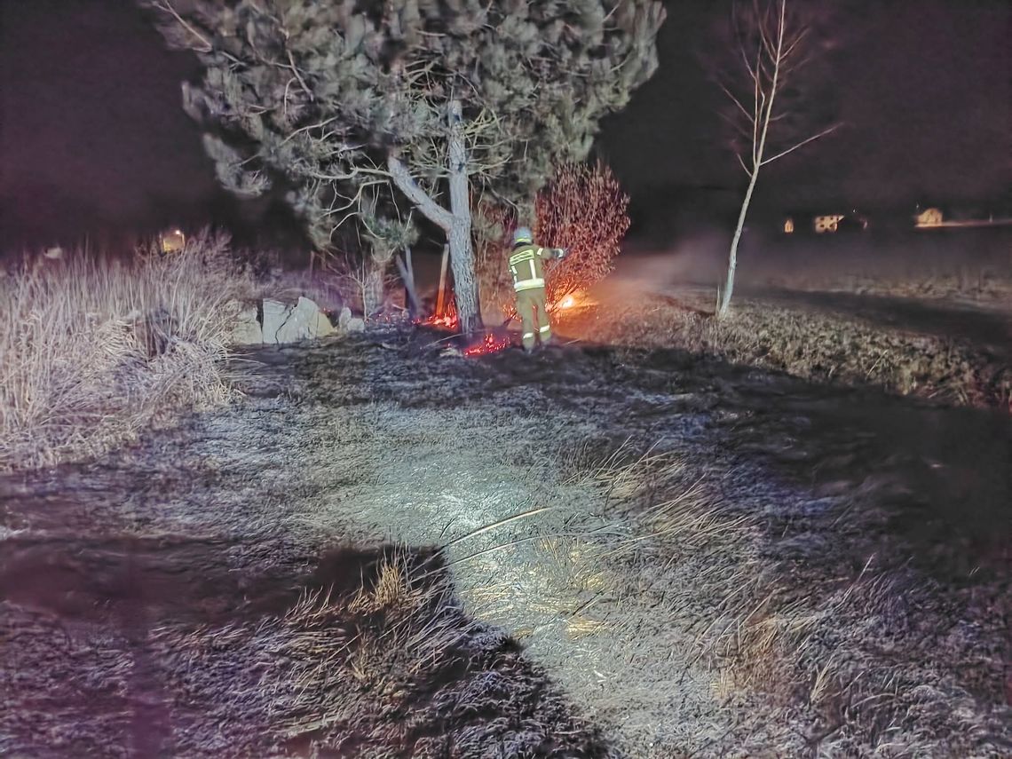 Pożar trawy we Wroninie. Strażacy ostrzegają przed skutkami wypalania Pożar trawy we Wroninie. Strażacy ostrzegają przed skutkami wypalania