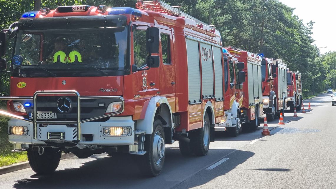 Pożar w lesie. Paliła się ściółka, a obok leżały materace Pożar w lesie. Paliła się ściółka, a obok leżały materace