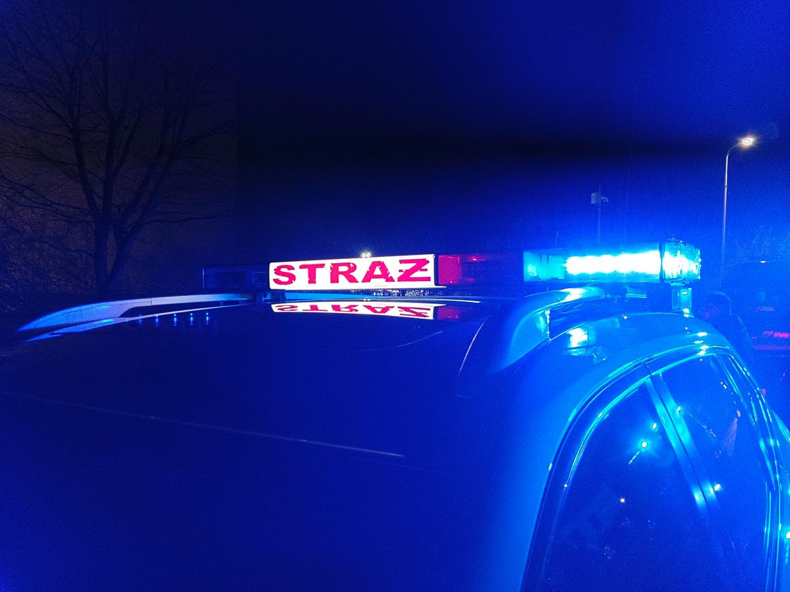 Pożar w lesie. Prawdopodobnie to kolejne podpalenie