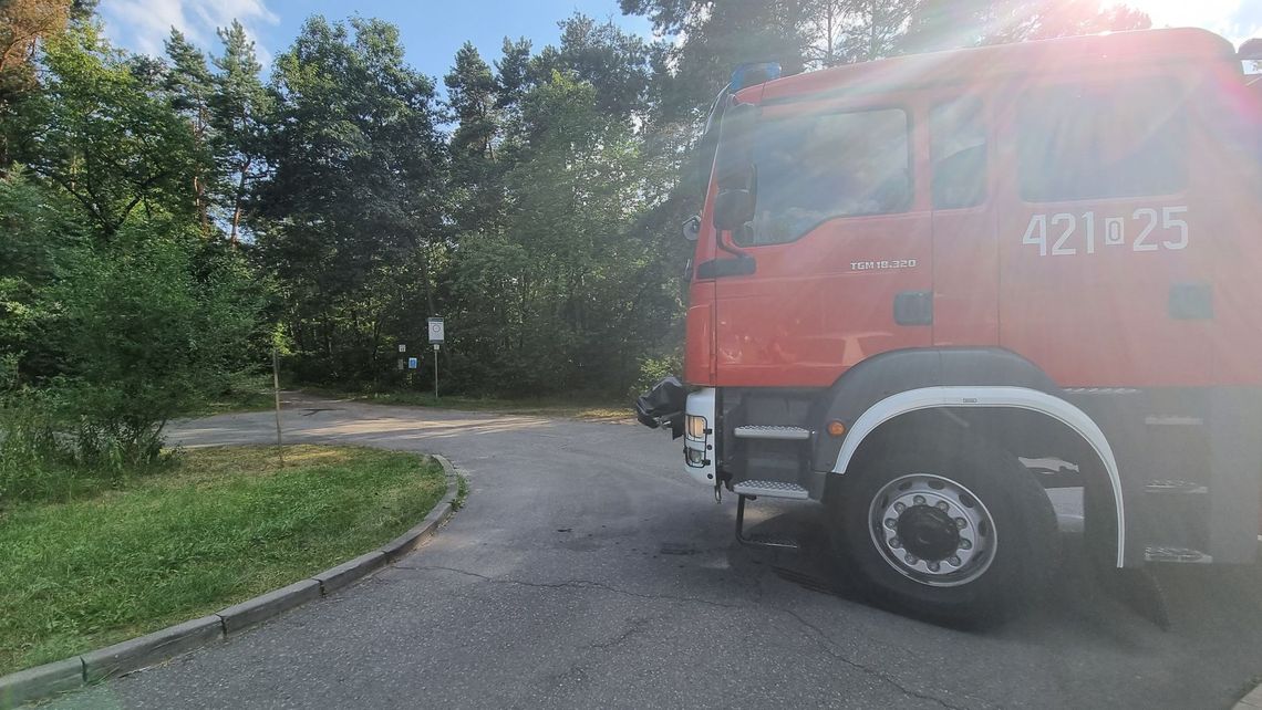 Pożar w lesie przy ulicy Kośnego na osiedlu Piastów Pożar w lesie przy ulicy Kośnego na osiedlu Piastów