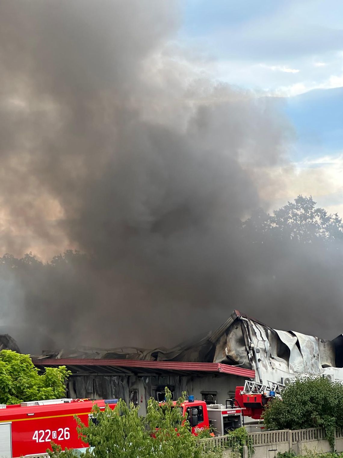 Pożar zaczął się w małej hali namiotowej, a następnie rozprzestrzenił się dalej