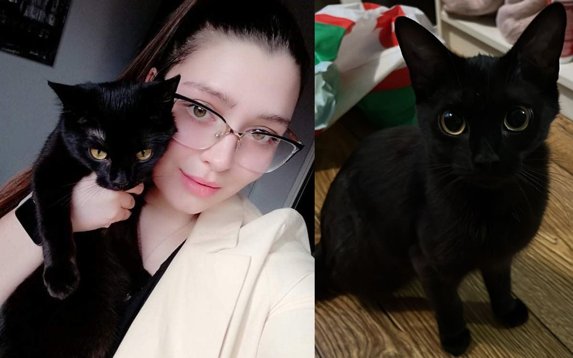 Poznajcie historię Buki - psotnej kotki z alei Partyzantów Poznajcie historię Buki - psotnej kotki z alei Partyzantów