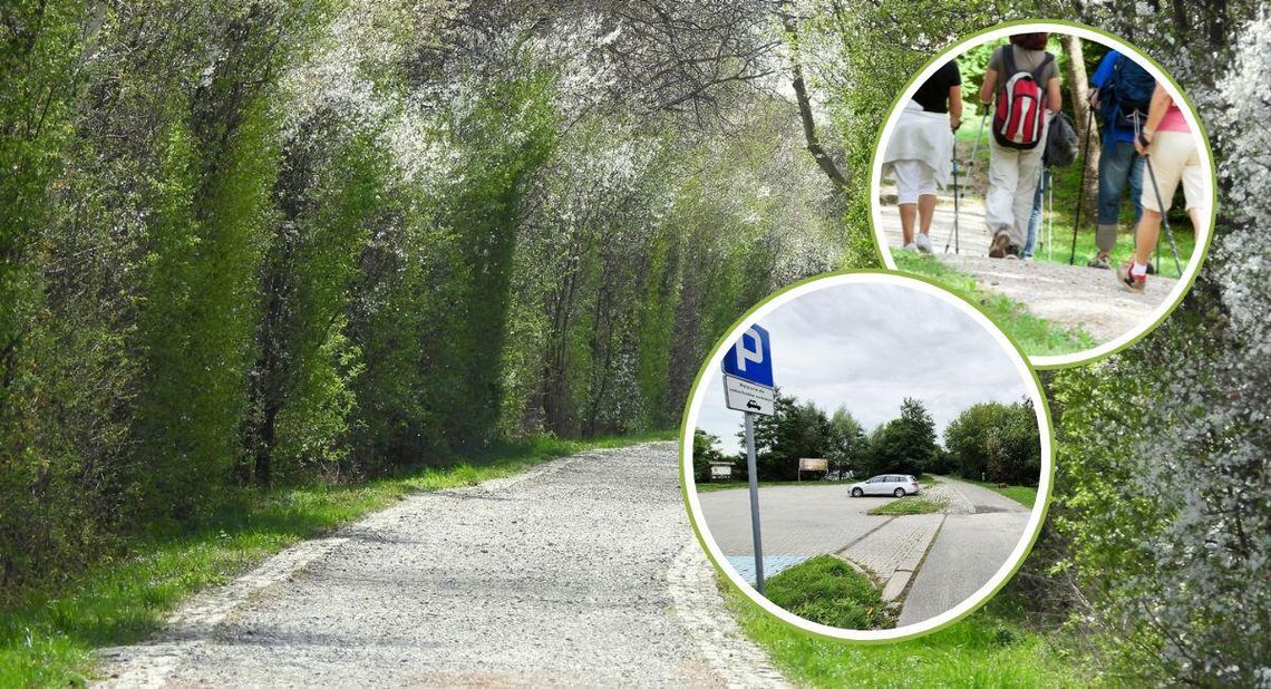 Pro Corde zaprasza na spacer wokół Dębowej z okazji Światowego Dnia Serca. Będzie piknik i prezenty