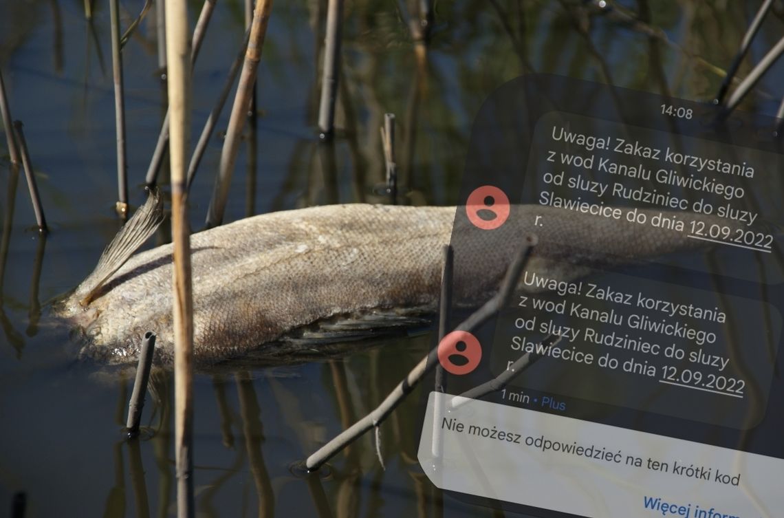 Mieszkańcy otrzymali zakaz korzystania z wód Kanału Gliwickiego